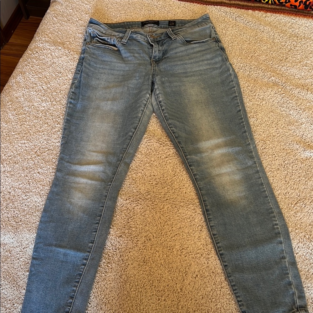 Lucky Brand Blue Skinny Jeans Timeless Fit